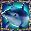 Символ: Dolphins Pearl Deluxe - Дельфін (wild)